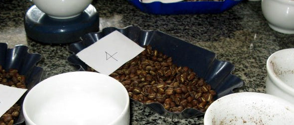 a sample tray of coffee beans with a label that reads 4 attached to it