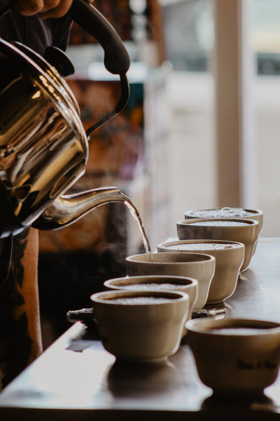 Boiling water is poured from a kettle into a row of coffee mugs.