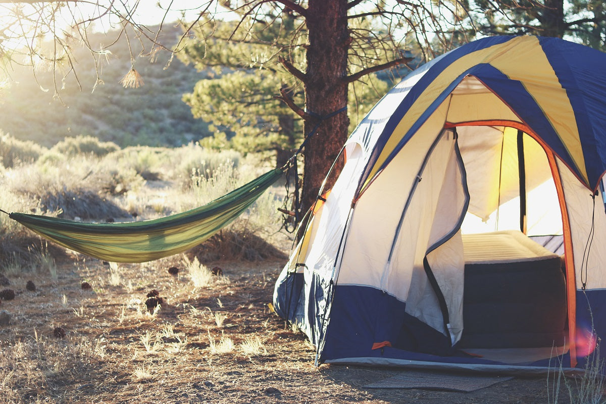 Image of tent beside hammock