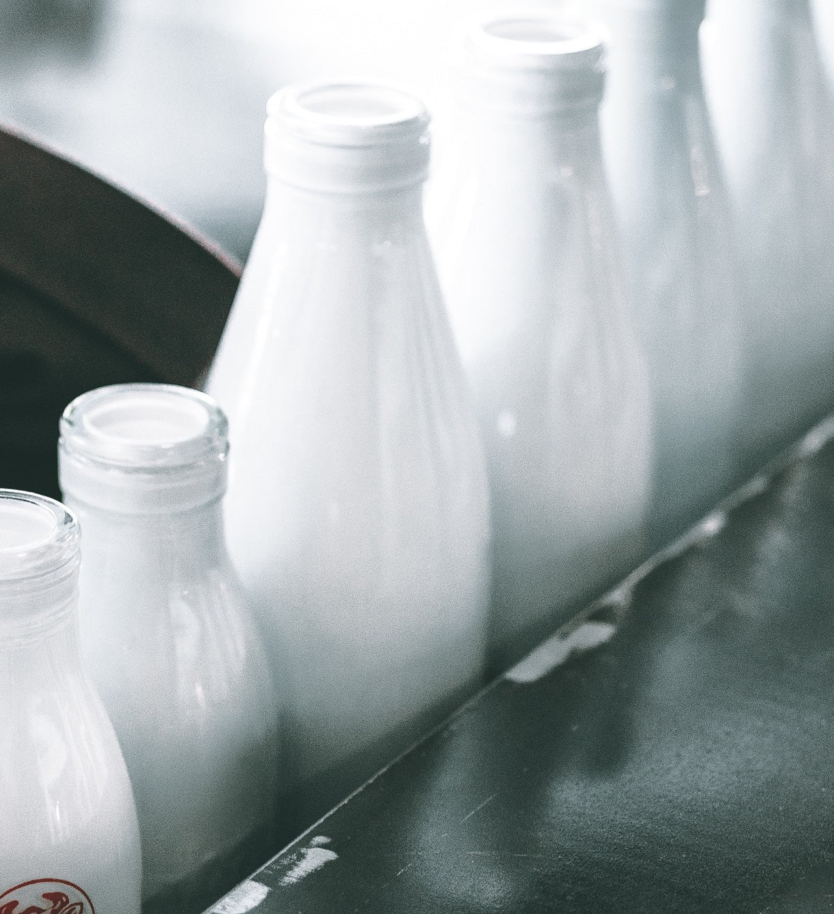 several glass bottles of milk