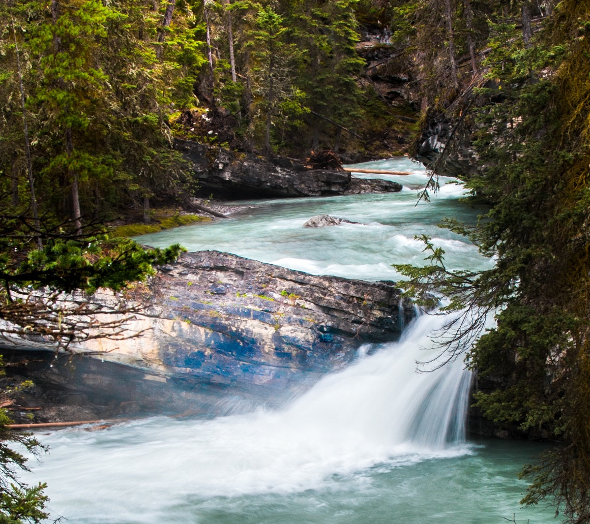 a stream of water