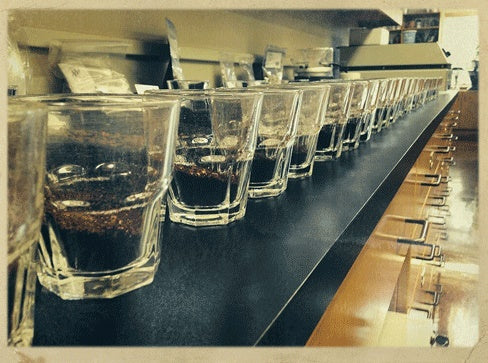 a handsome man in a laboratory setting uses a spoon to sample coffee from a long row of shot glasses