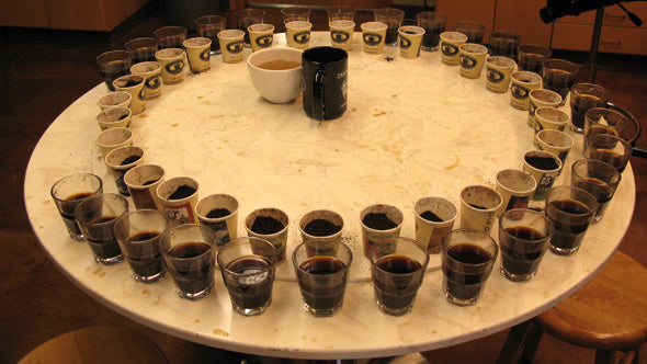 a circular lazy-suzan cupping table completely covered in shot glasses of coffee sits empty at the end of a day's cupping