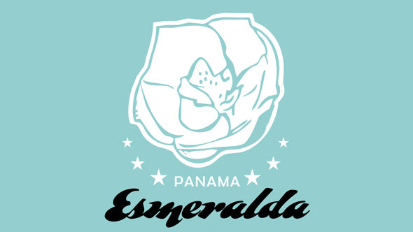 Panama Esmeralda 100% Geisha