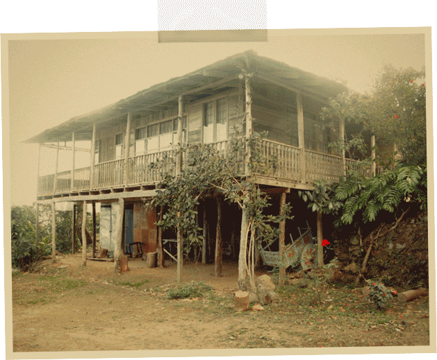 AFAORCA, COFFEE FARM, COFFEE MILL, COFFEE PRODUCTION, COOPERATIVE, costa rica, ON THE ROAD, TERRAZU VALLEY, Cooperative Building