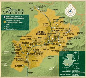 coffee appellation, Guatemala Antigua, Antigua Coffee Producers Association, coffee history, coffee origin, specialty coffee, Antigua Map