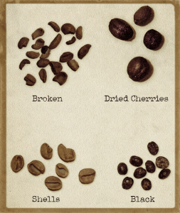 Broken coffee bean, dried coffee cherries, coffee shells, black coffee beans, pva coffees, triage coffee, coffee defects, defective coffee, bad beans, coffee sorting, specialty coffee, defect free coffee, zero defect coffee,  types of coffee defects